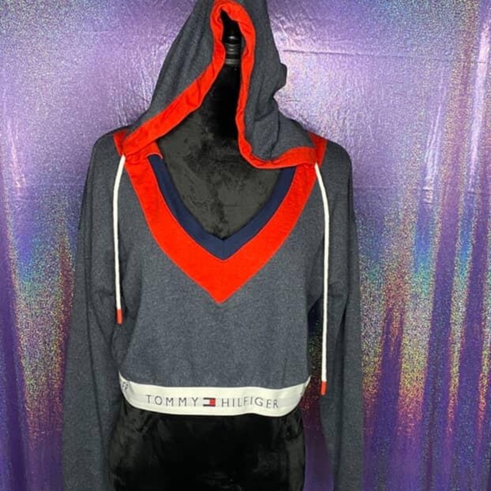 Tommy Hilfiger Men's V-Neck Sweater in Gray and Red